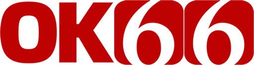 vnok66 Logo
